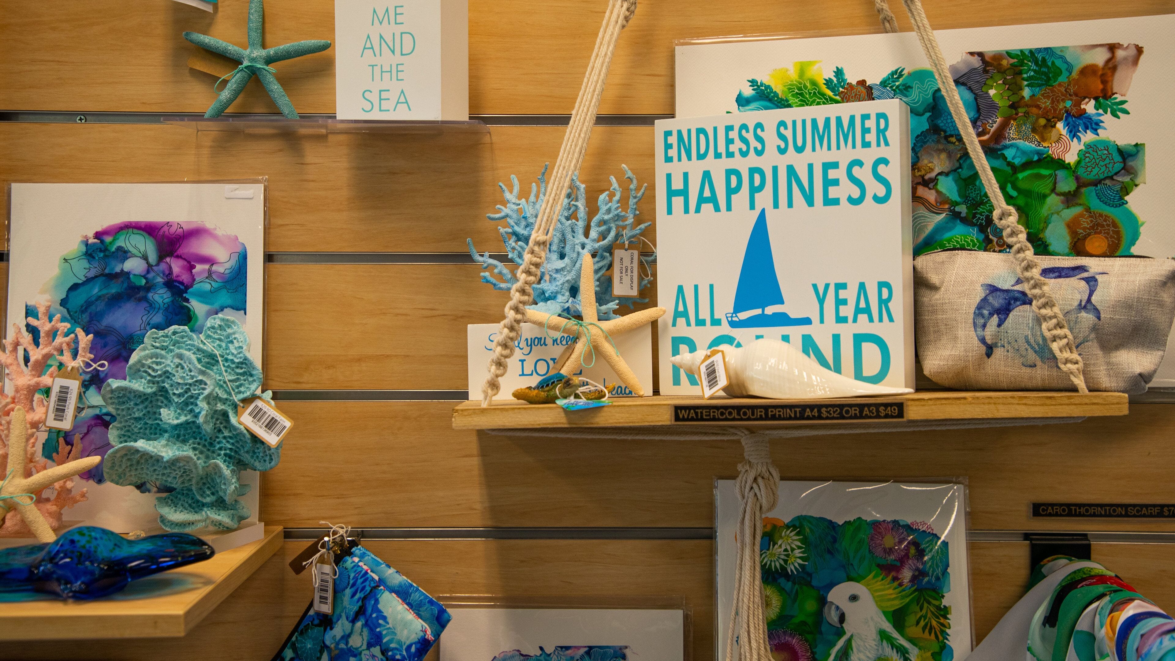 Agnes Water Museum and Visitor Centre showing signage and interior views