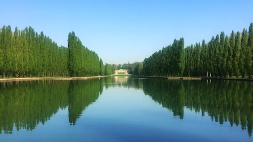 Symmetry (Sceaux - France)
#sceaux #garden #france #europe
April 2018 - IPhone 6