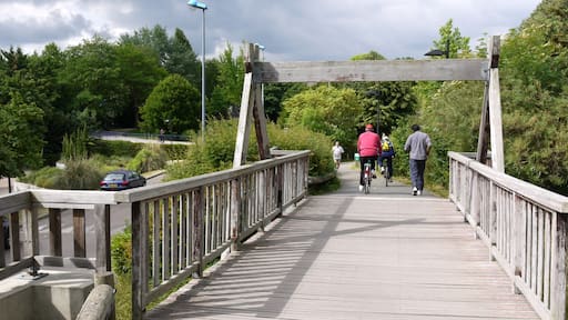 The Coulée verte, a bikeway in the southern suburbs of Paris, at Fontenay aux Roses (France)