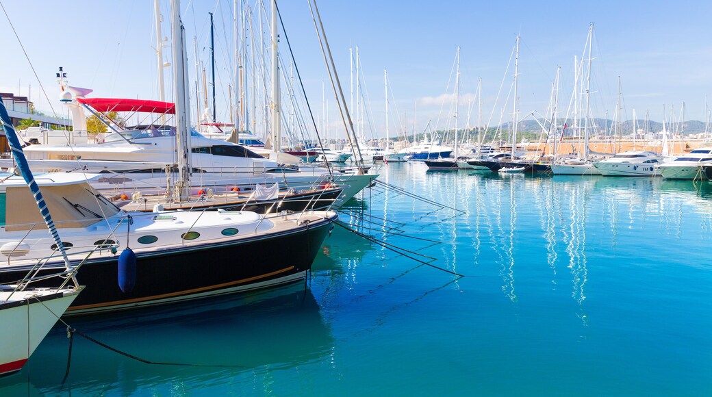 Pelabuhan Palma de Mallorca