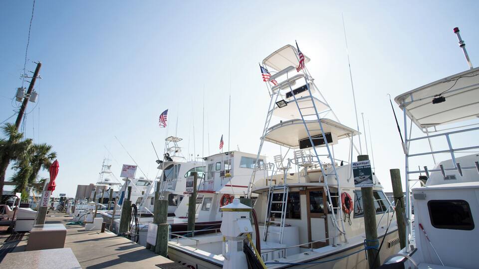 PanamaCityBeach_CaptAndersonsMarina_6203519_05