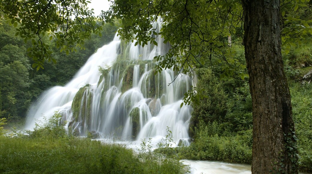Superb Waterfalls!
Check our video of this amazing place
http://bit.ly/CascadesduHérisson
#TheAmbientCollection #Waterlust