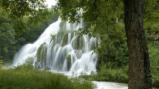 Superb Waterfalls!
Check our video of this amazing place
http://bit.ly/CascadesduHérisson
#TheAmbientCollection #Waterlust