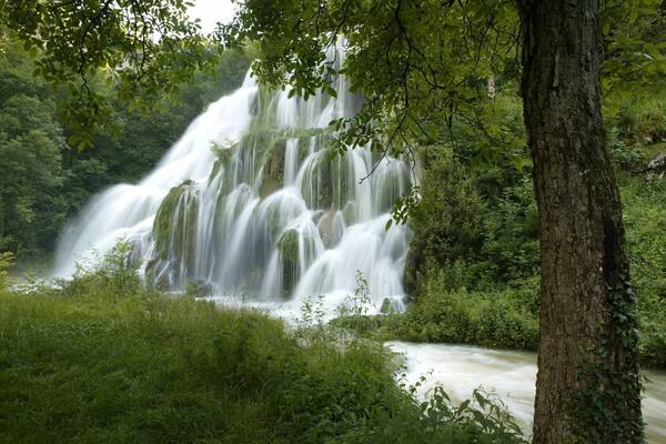 Superb Waterfalls!
Check our video of this amazing place
http://bit.ly/CascadesduHérisson
#TheAmbientCollection #Waterlust