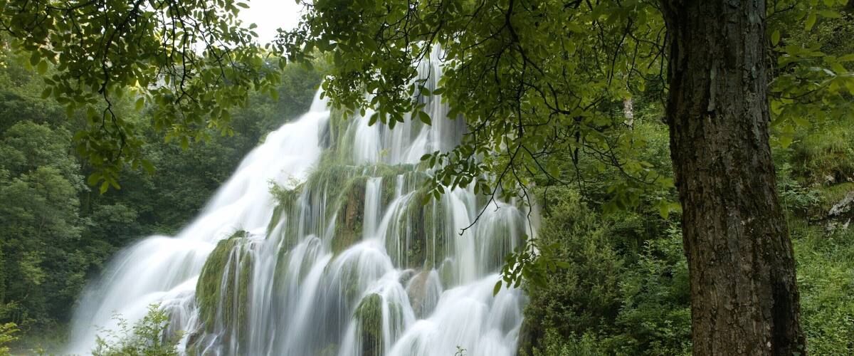 A waterfall cascading over rocks in a lush green forest.
