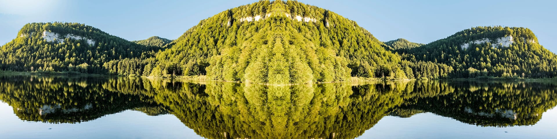 scenic reflection of Forest in the clear lake at Bonlieu