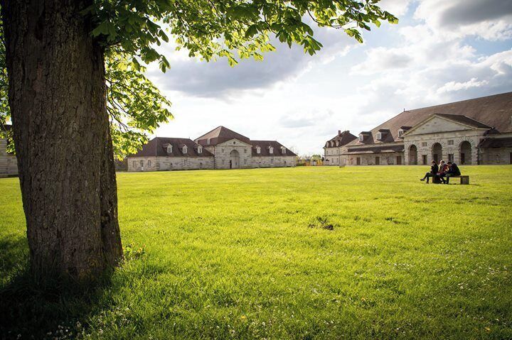 "Saline" #1pictureAday