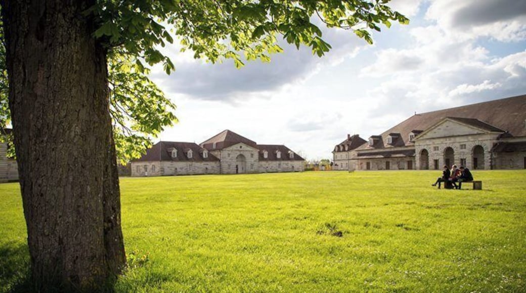 "Saline" #1pictureAday