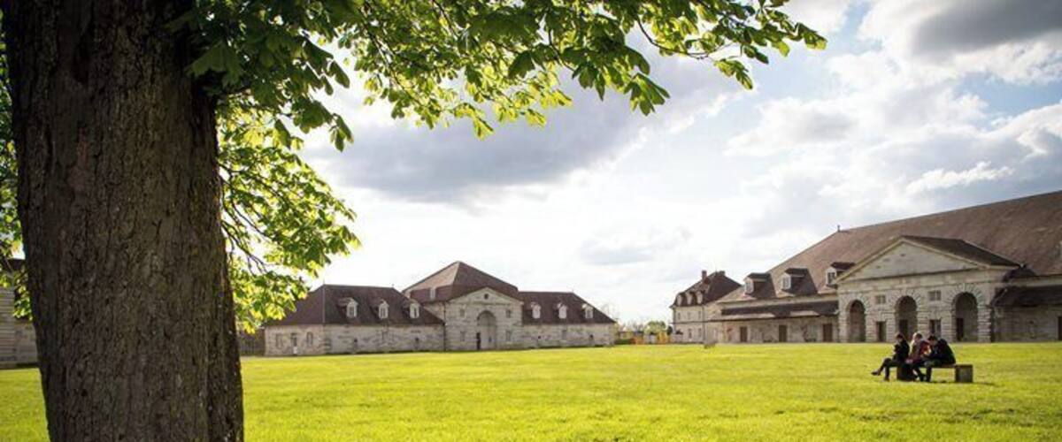 "Saline" #1pictureAday