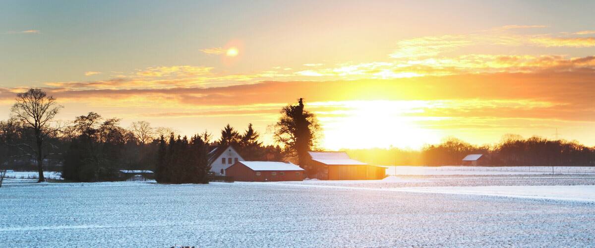 A snowy landscape with a barn and trees during sunset.