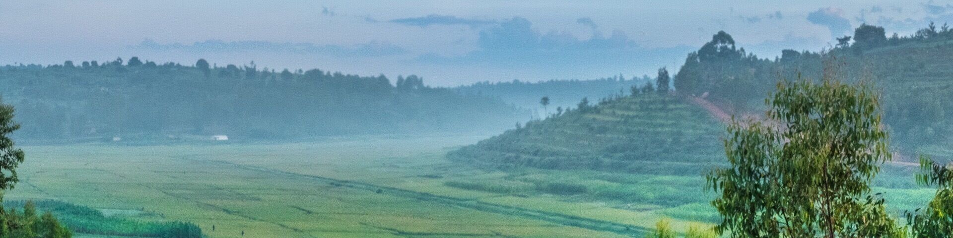 Early morning mist near Butare, Rwanda
#blue