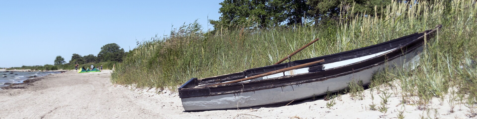 Um barco encalhado em uma praia arenosa, com grama alta e árvores ao fundo.