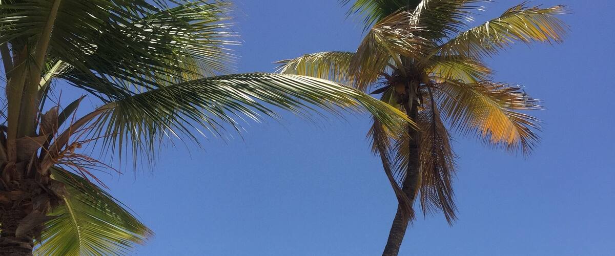 Catalina island in Southeast Dominican Republic