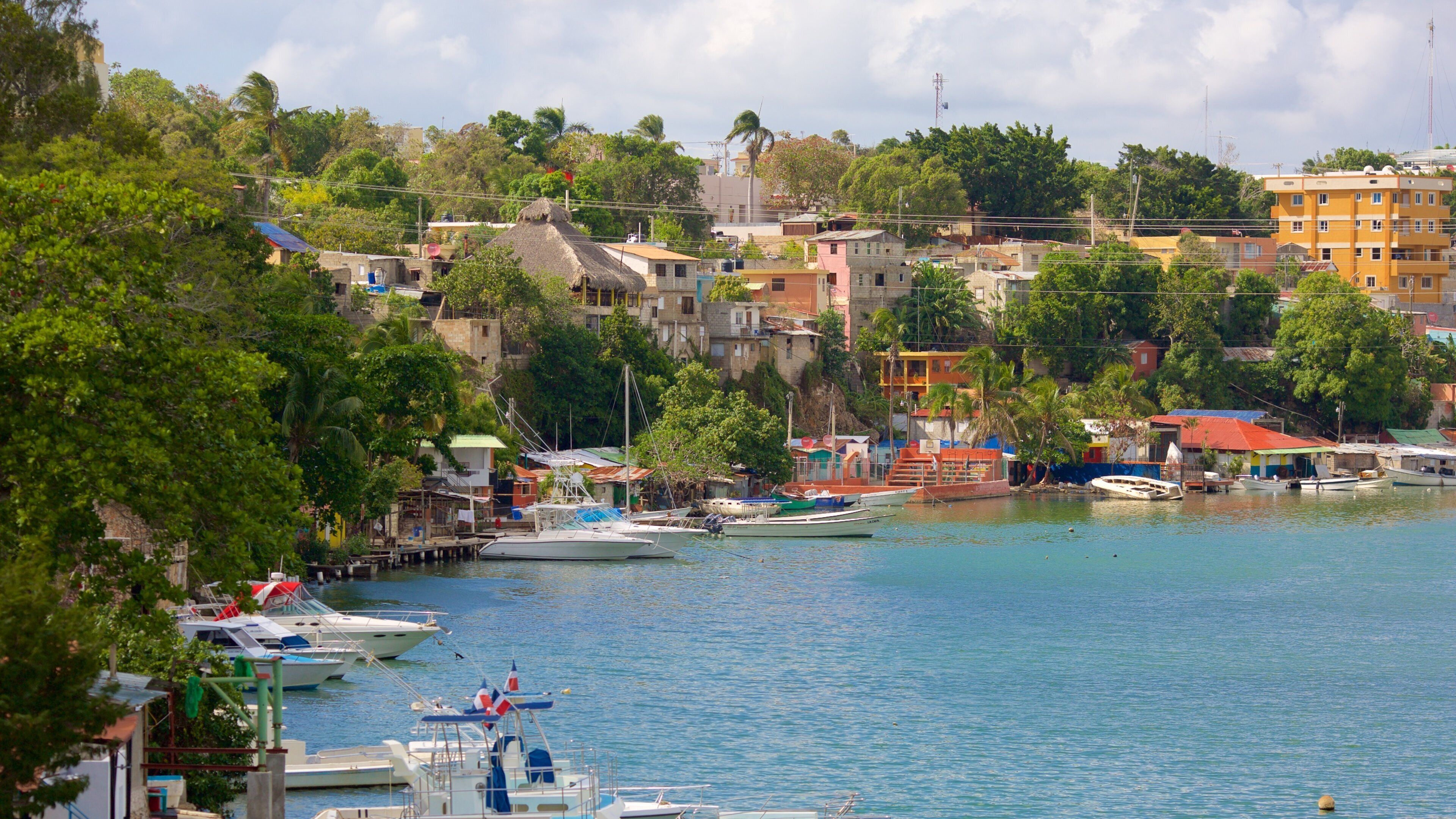 A harbor with boats, a mix of residential buildings, and lush greenery.