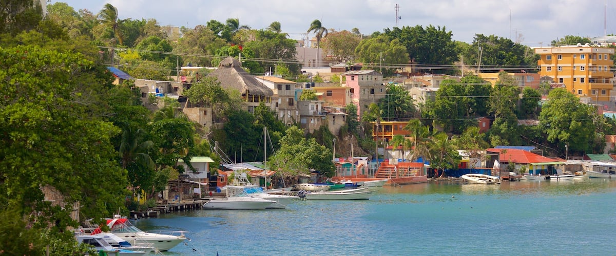 A harbor with boats, a mix of residential buildings, and lush greenery.