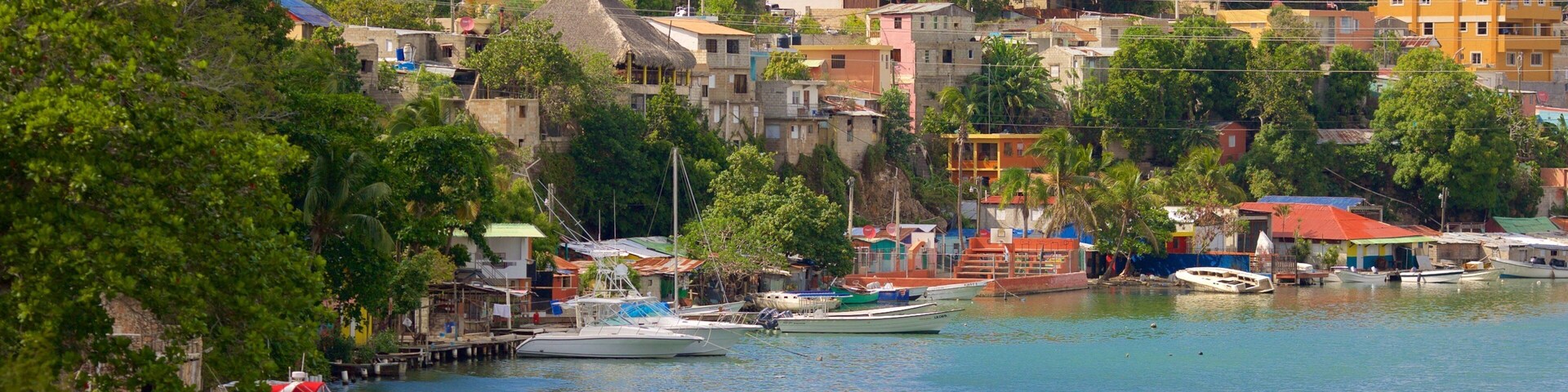 A harbor with boats, a mix of residential buildings, and lush greenery.