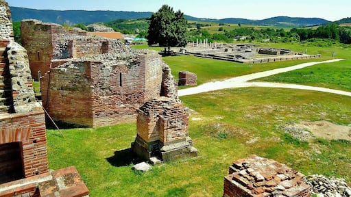 Spectacular Roman Emperor's Palace Felix Romuliana,Gamzigrad,near the city of Zajecar,Serbia. It's under UNESKO World Heritage protection list from 2007.
Worth visiting!You are all invited to come. Summer months are ideal for visiting.
Felix Romuliana was an Imperial palace built on the orders of Galerious Maximianus.
Galerius who was born in this area,raised the palace in the 3rd and 4th centuries in honor of himself and his mother Romula, after whom he named it. It belongs to a special category of Roman court architecture associated only with the period of the Tetrachy and is the best-preserved example of this style.
#History Photo Contest
#Serbia #RomanEmpire
#InStone
#UNESKO