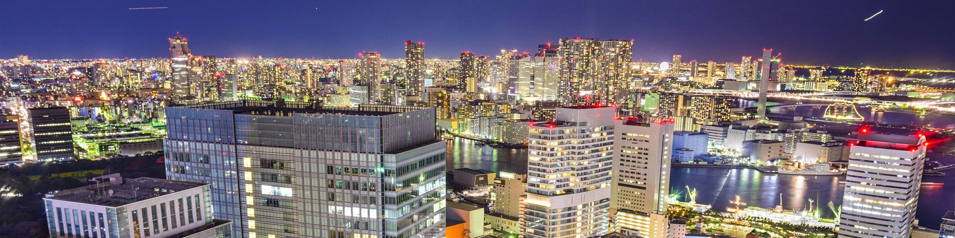 Tokyo, Japan cityscape at night.; Shutterstock ID 235542124