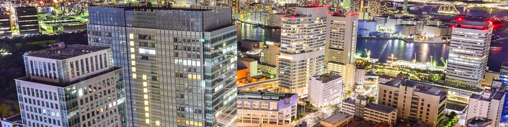 Tokyo, Japan cityscape at night.; Shutterstock ID 235542124