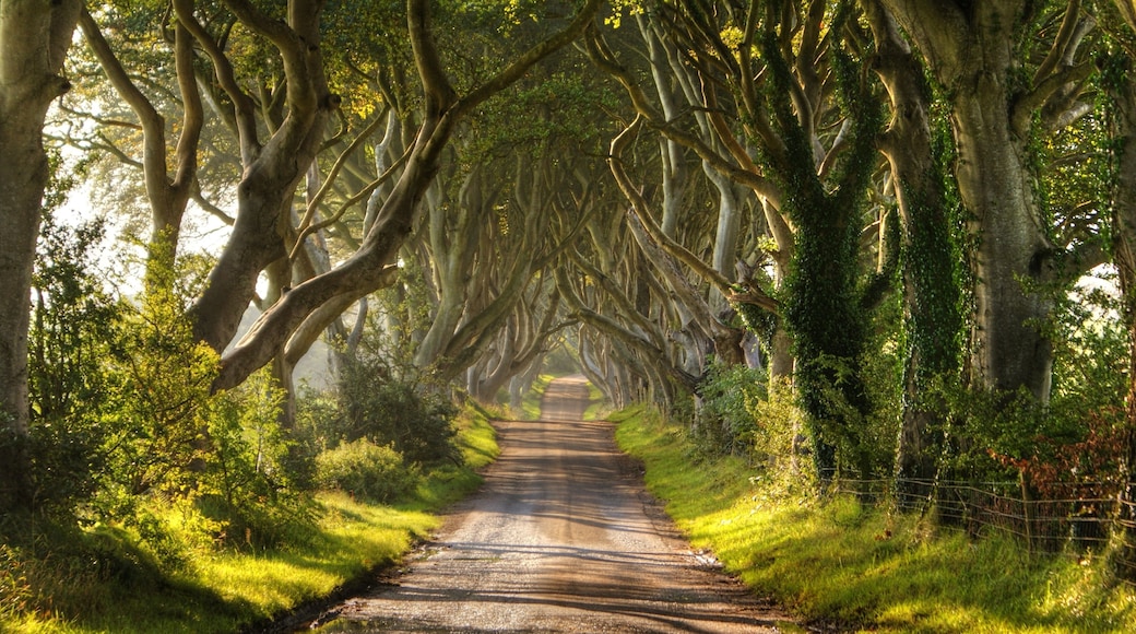 Ballymoney