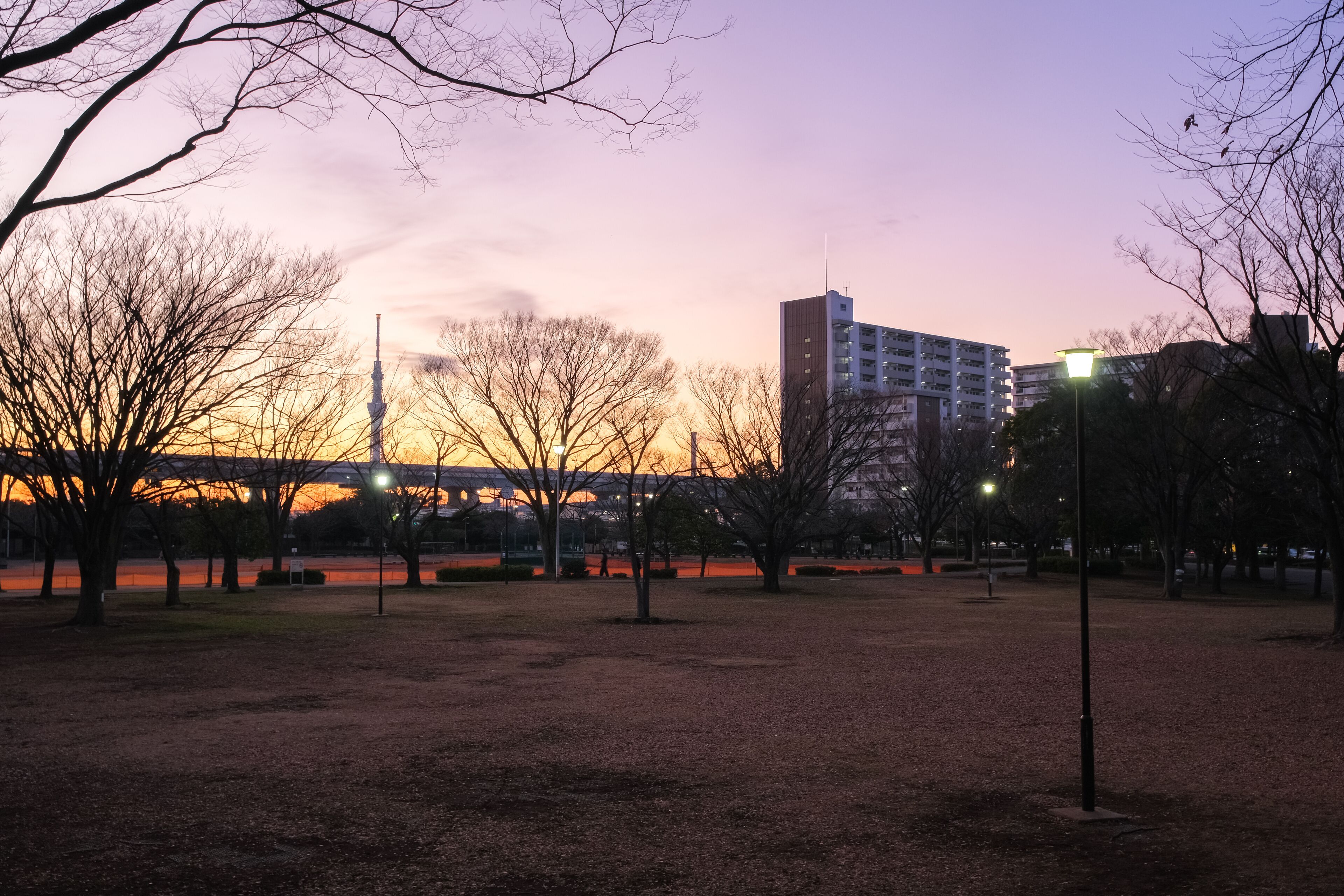 東京都葛飾区 夕暮れの新小岩  公園