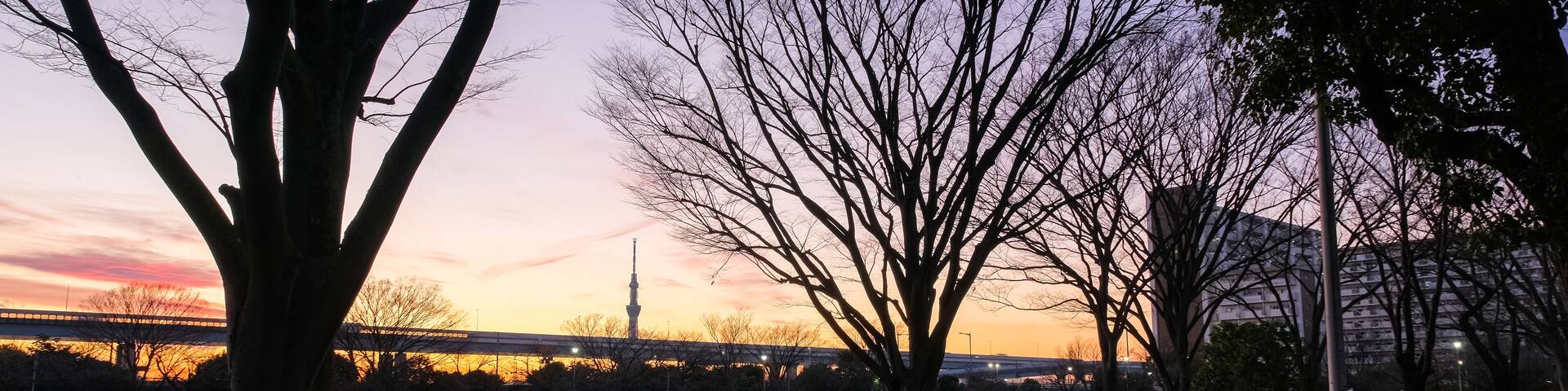 東京都葛飾区 夕暮れの新小岩公園