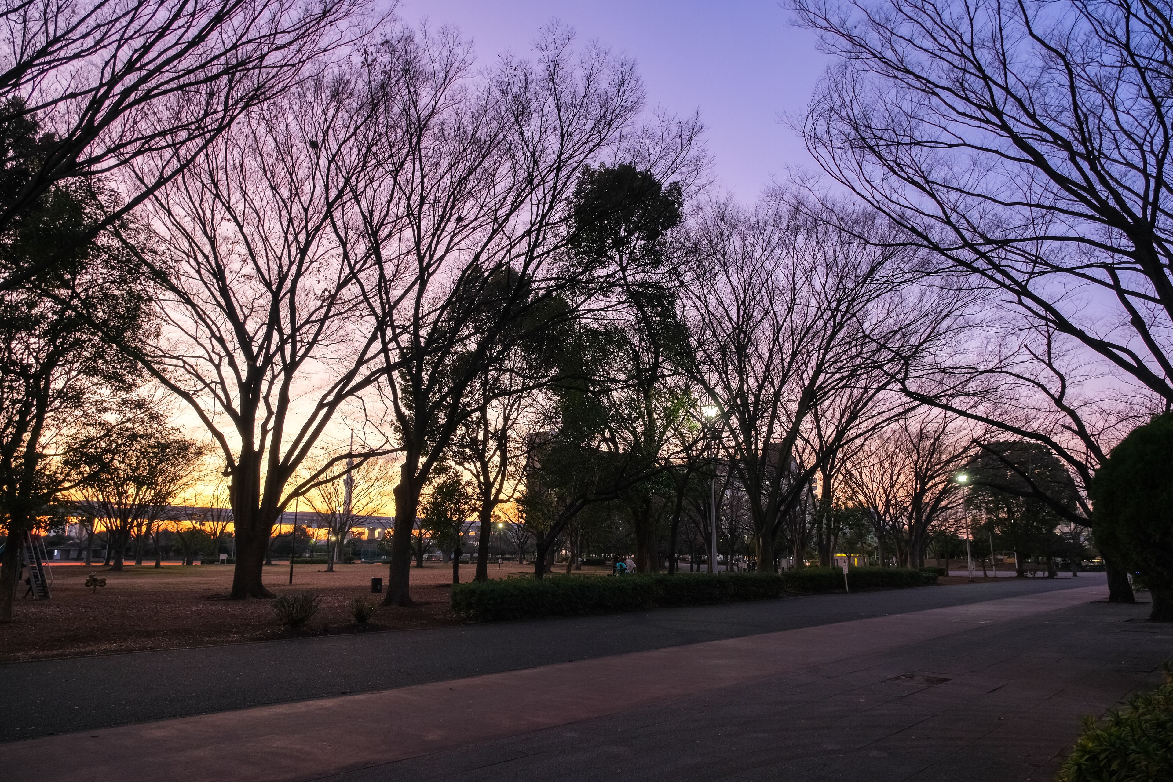 東京都葛飾区 夕暮れの新小岩公園