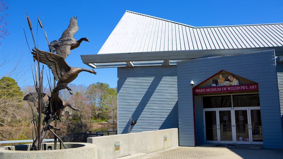 A building with a sign reading "Ward Museum of Wildfowl Art" and a large bird sculpture in front.