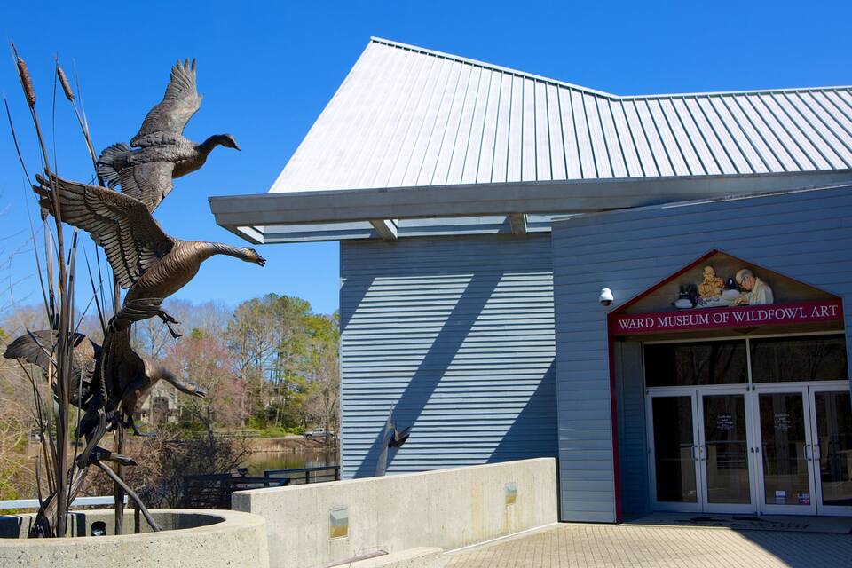 A building with a sign reading "Ward Museum of Wildfowl Art" and a large bird sculpture in front.