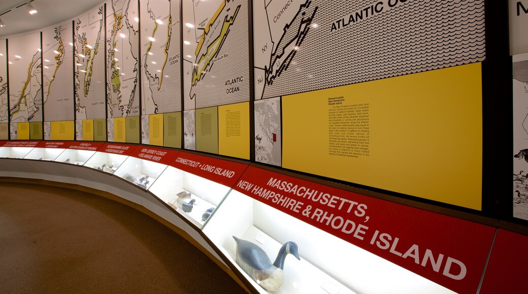 Ward Museum of Wildfowl Art showing interior views