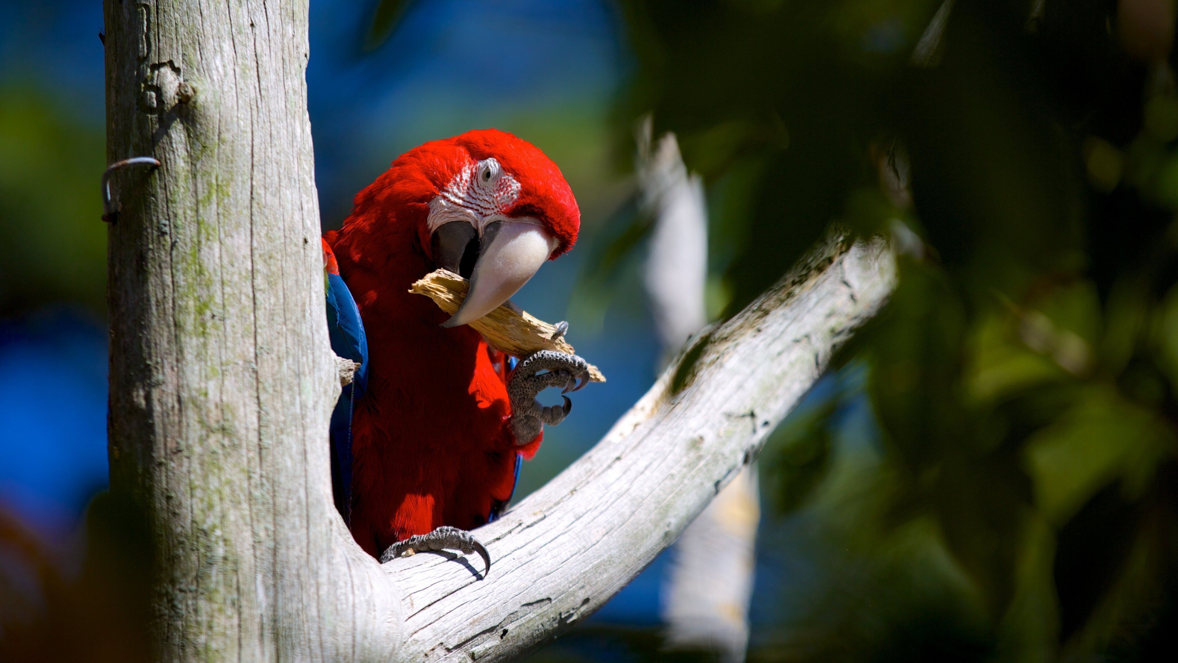 Salisbury Zoo which includes bird life and zoo animals