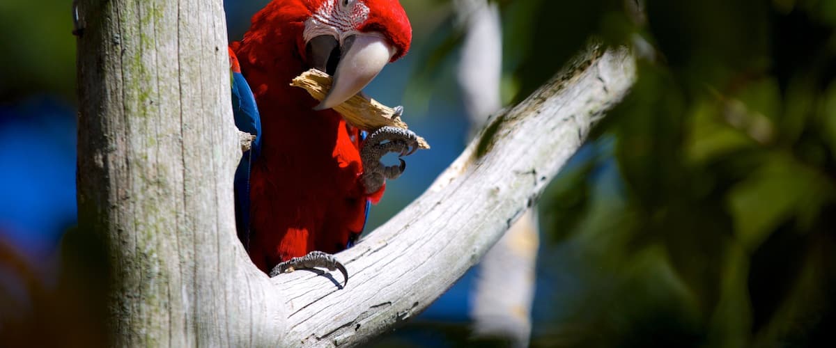 Salisbury Zoo which includes bird life and zoo animals