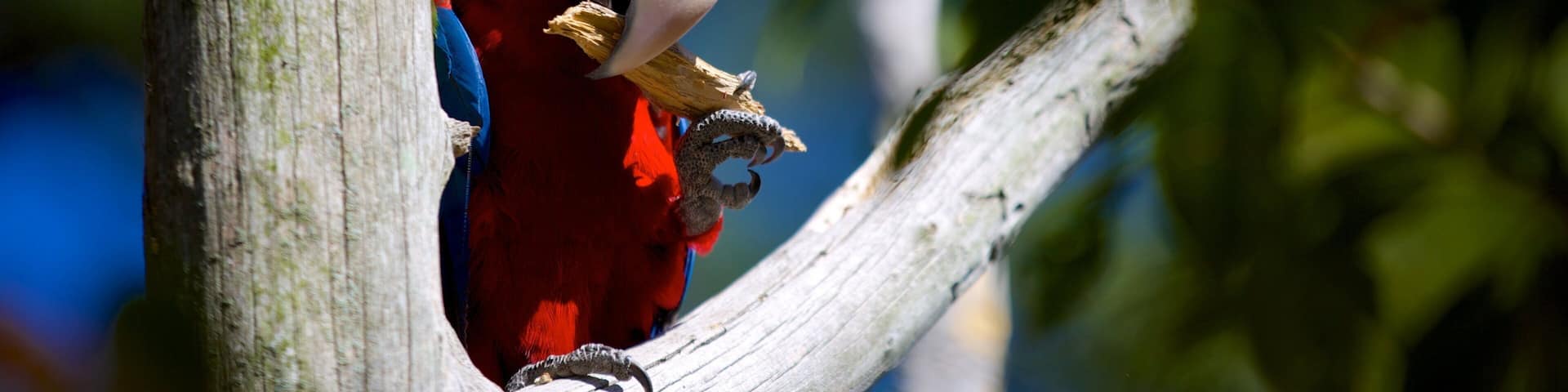 Salisbury Zoo which includes bird life and zoo animals