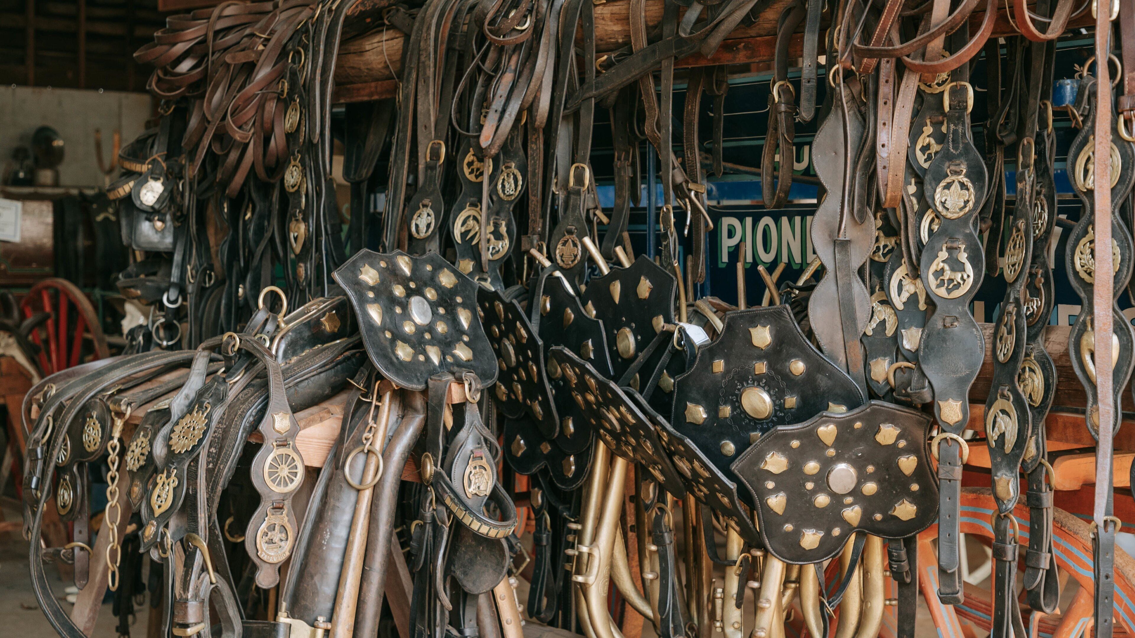 Highfields Pioneer Village