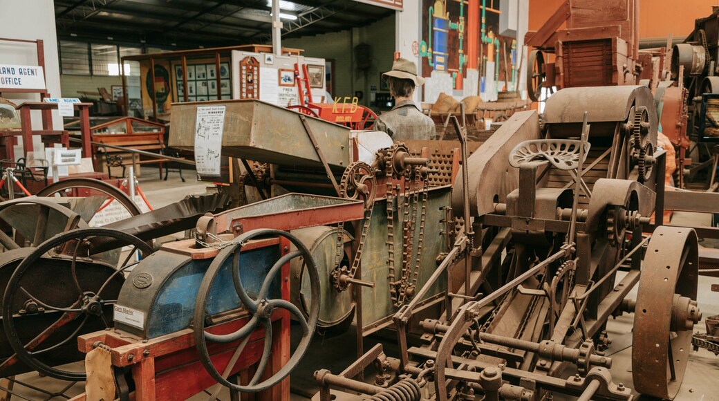 Kingaroy Peanut Heritage Museum showing heritage elements