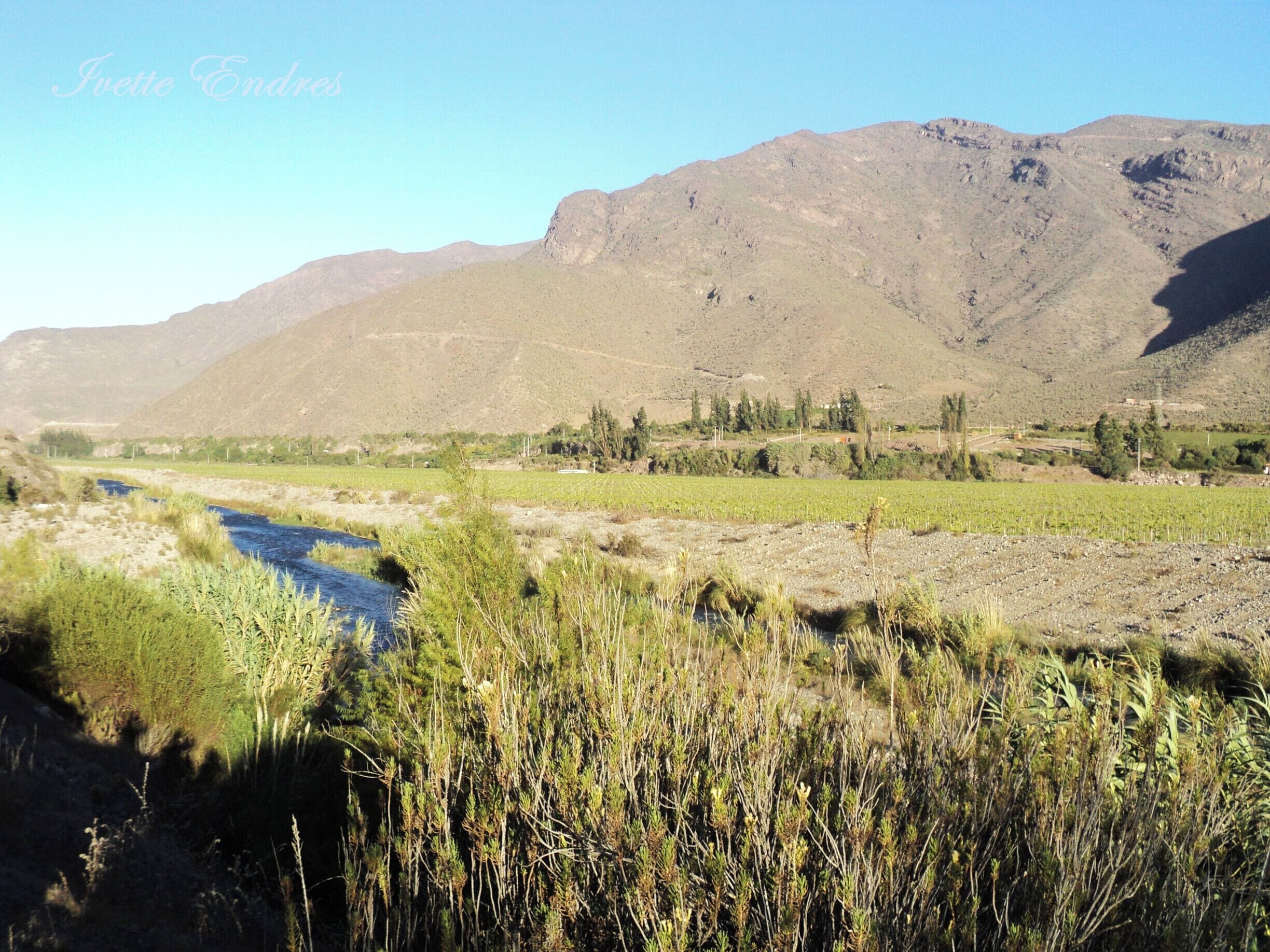 This is one town in the Elqui Valley, where you can do camping among other activities.
