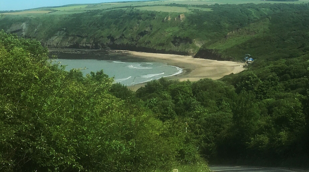 As you drop down into Runswick #Bay.
It's just one of the many bays found along the North Yorkshire coast.