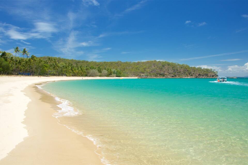 A beach with clear turquoise water, a sandy shore, and a forested island in the background.