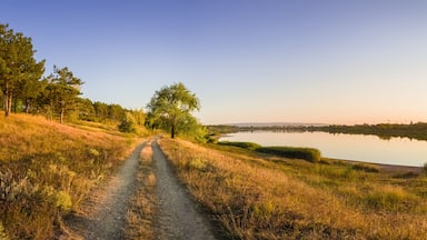 Scenic countryside landscape with rural dirt road across a meadow with dry grass and hay under a clear blue sky. Autumn panorama view near Delia lake, Ungheni, Moldova.