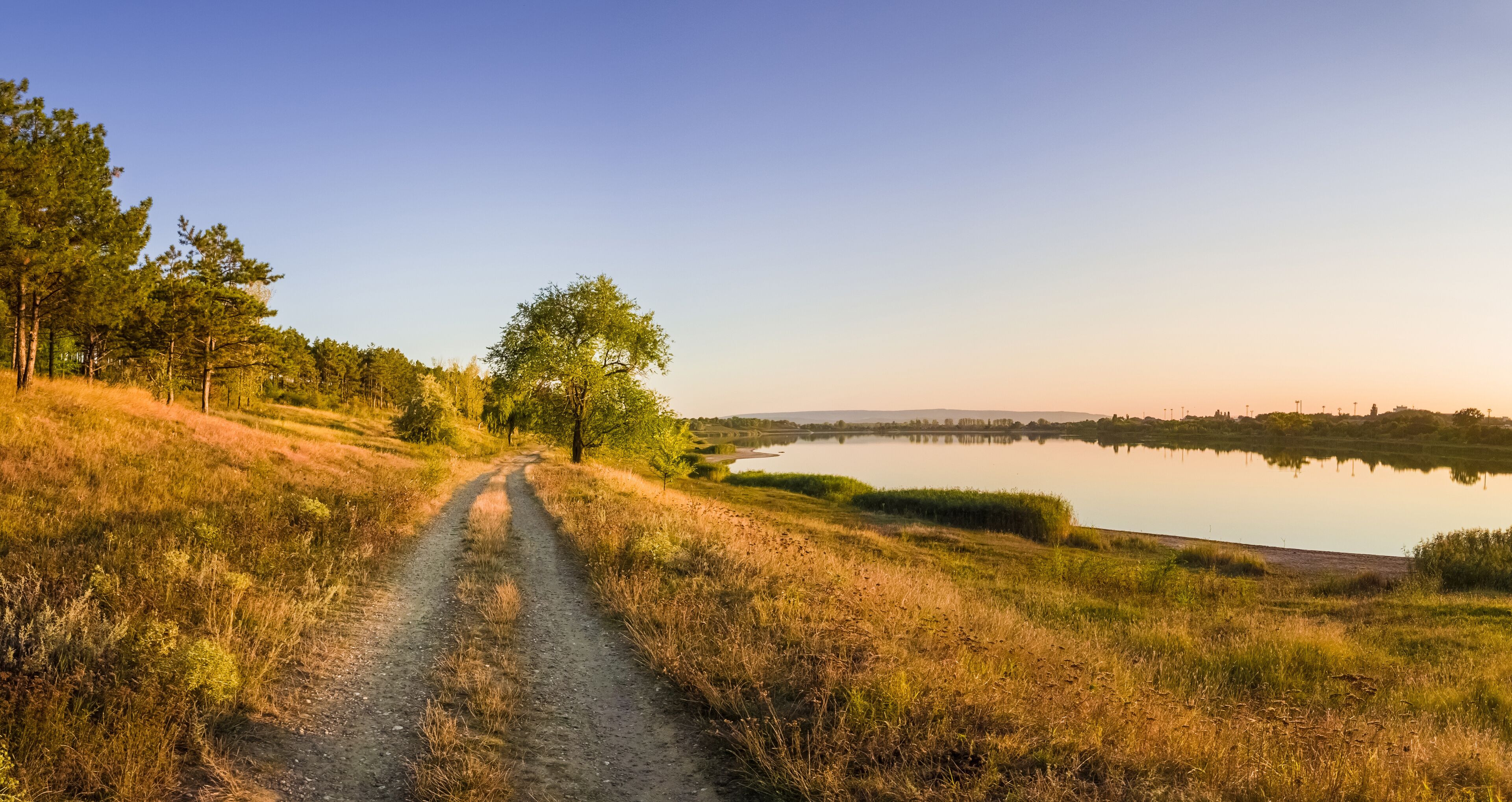 A dirt path leading to a lake surrounded by trees and grass.