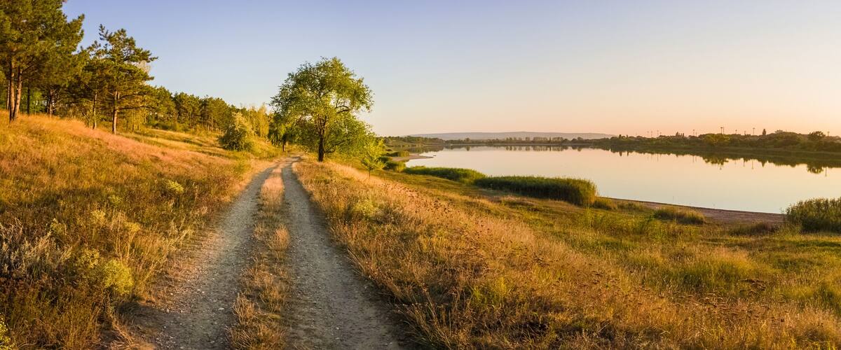 A dirt path leading to a lake surrounded by trees and grass.