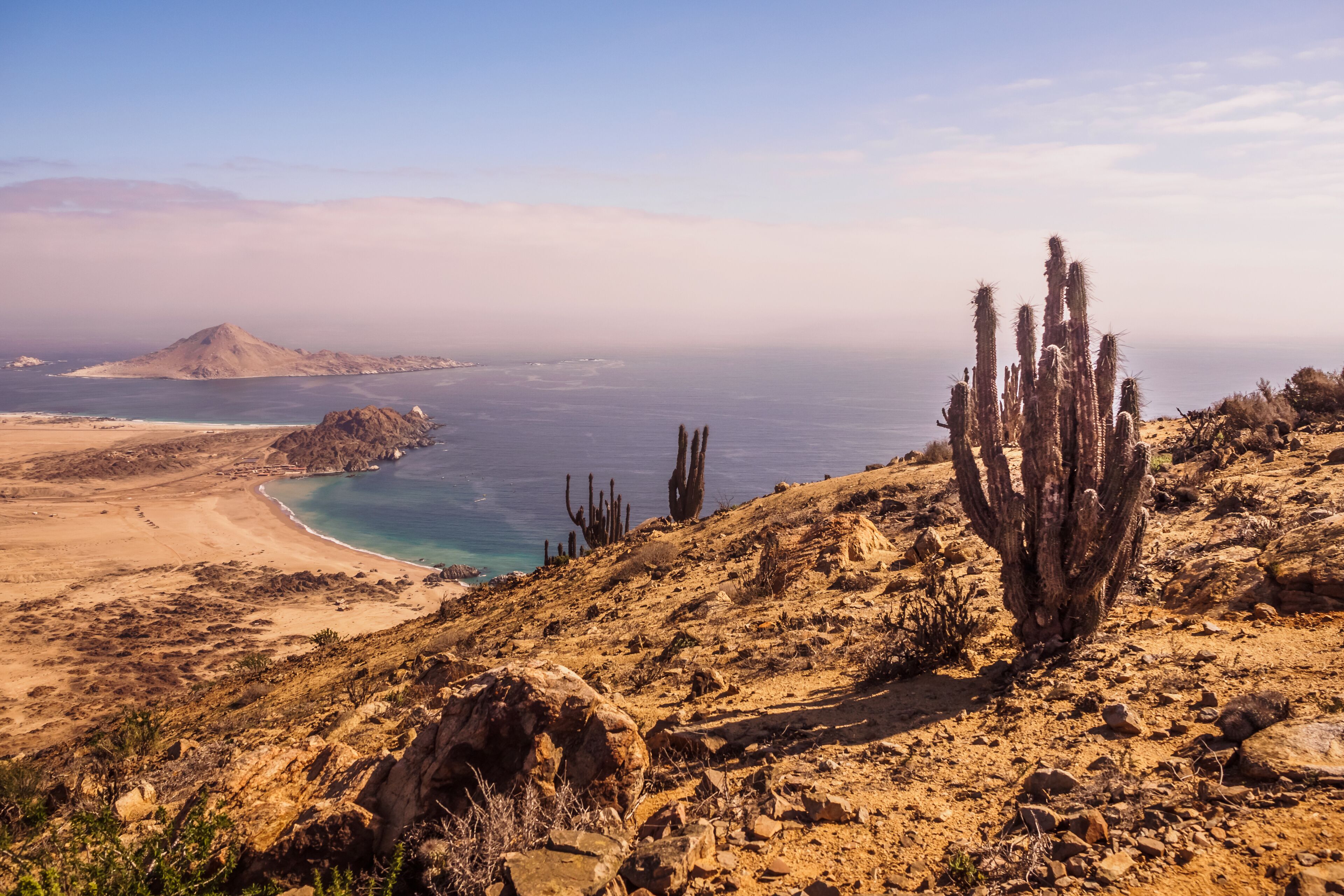 A desert landscape with a cactus, rocky terrain, and a coastal area with clear blue waters.