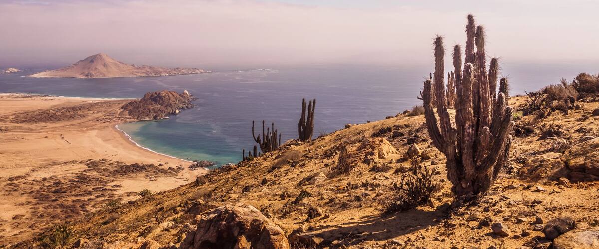 A desert landscape with a cactus, rocky terrain, and a coastal area with clear blue waters.