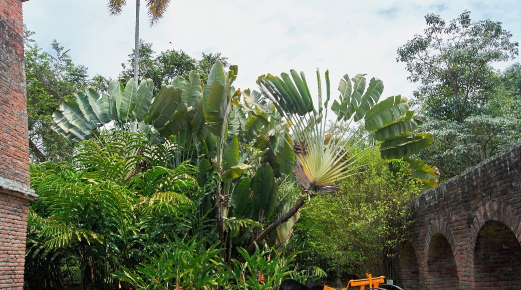 El Museo de la Caña de Azúcar
#architecture