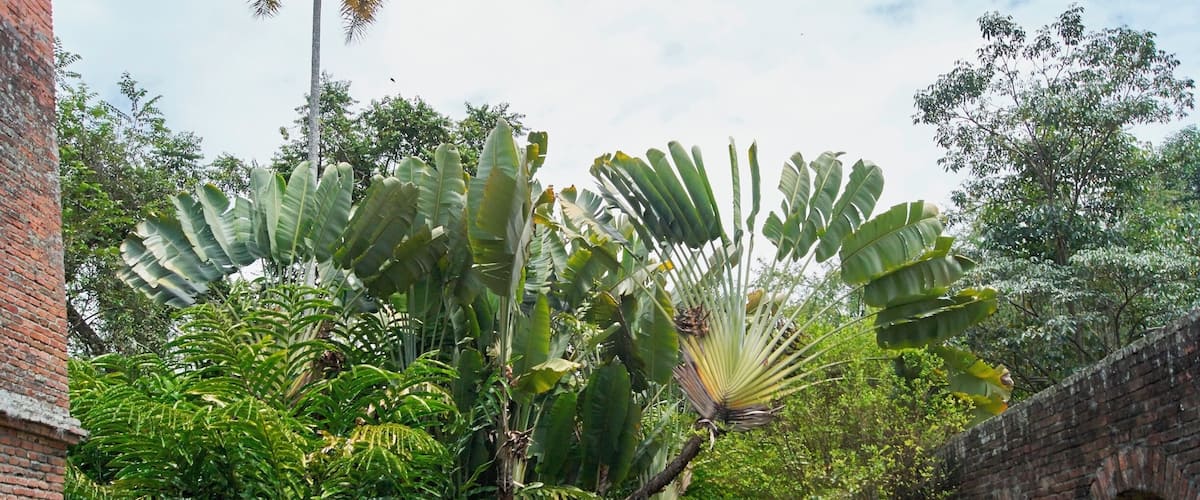 El Museo de la Caña de Azúcar
#architecture