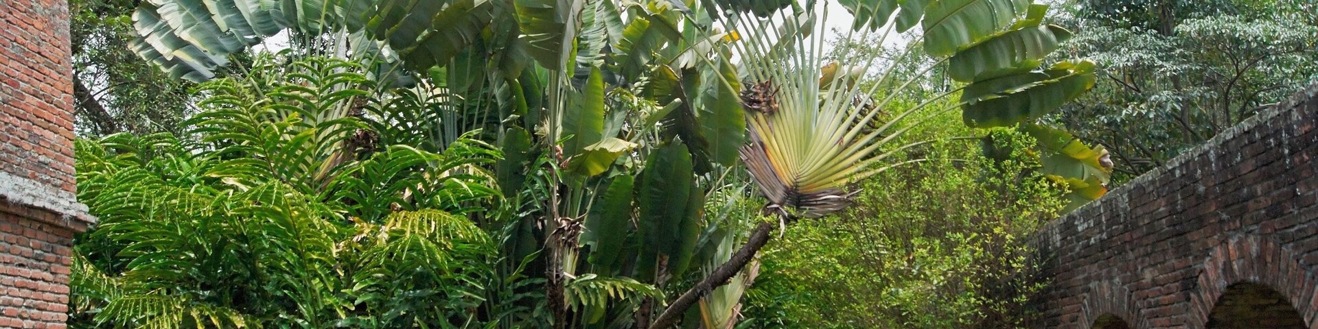 El Museo de la Caña de Azúcar
#architecture