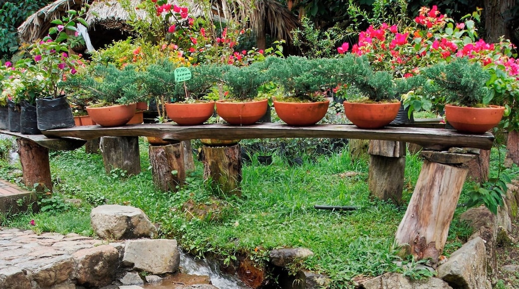 Casa Museo Hacienda El Paraíso.