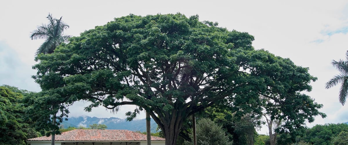 Casa Museo Hacienda El Paraíso.
#architecture