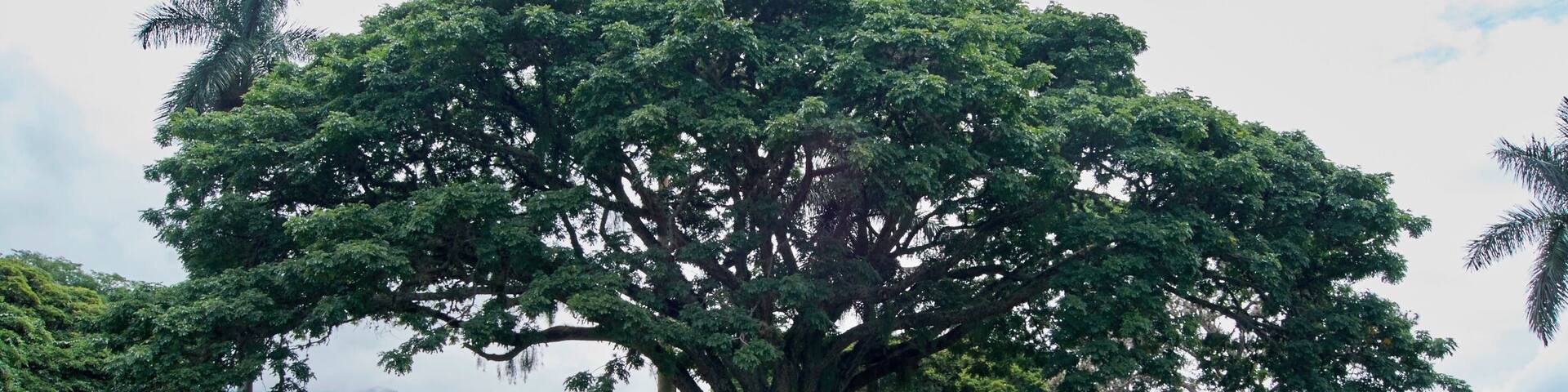 Casa Museo Hacienda El Paraíso.
#architecture