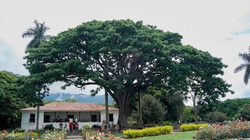 Casa Museo Hacienda El Paraíso.
#architecture